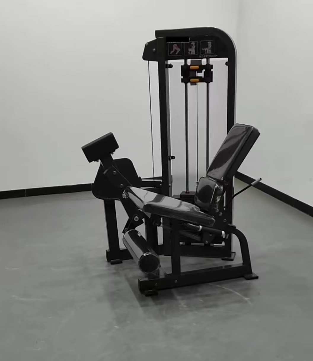Leg Extension thumbnail 5