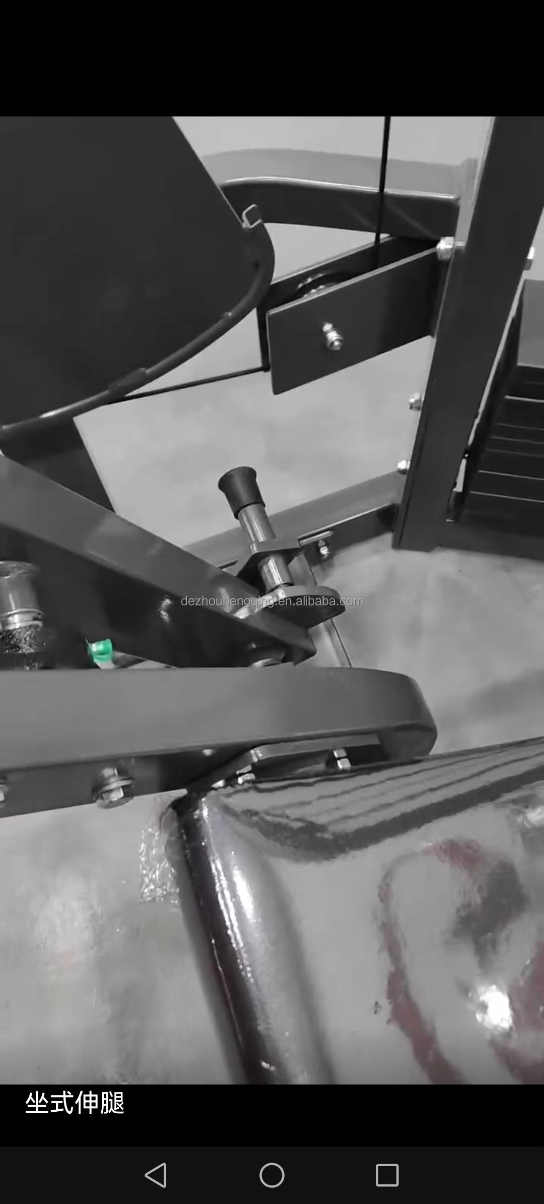 Leg Extension thumbnail 2